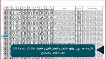 نتيجة إعدادي.. وزارة التعليم تعلن نتائج الصف الثالث للعام 2025 بعد إتمام التصحيح
